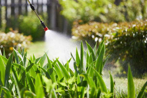 24/7 Emergency Mosquito Control experts in Edgewood, WA